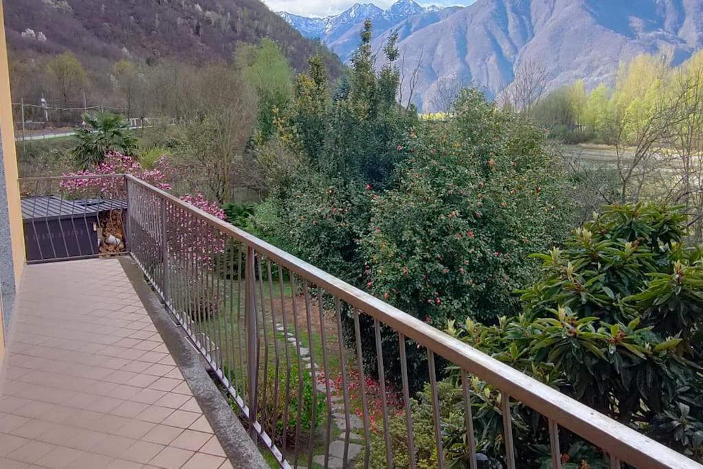 Ferienwohnung Il Nido Dei Cigni Vogogna Exterior foto